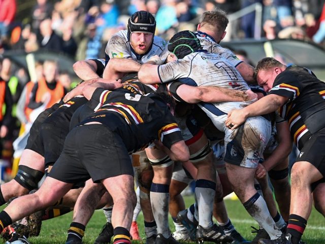 Bedford Blues face Caldy first as new Championship fixture list released