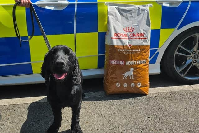 Meet Bedfordshire Police Dog Benji who Has Been Given A Second Chance At Life After Suffering ‘unimaginable Neglect’