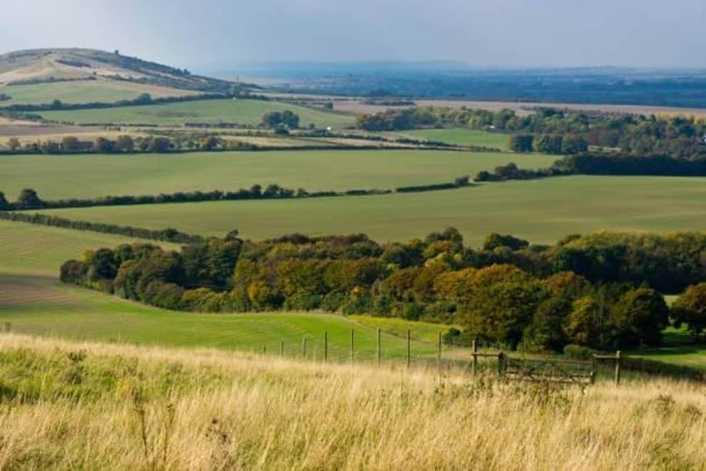 Report Reveals Glider Hit By Drone 'intentionally Flown' Near It Over Dunstable Downs